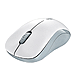 Click for Details on Bluetooth Wireless Optical Mouse